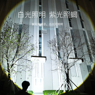 超强新款蝎子灯2023紫光灯强光超亮充电手电筒照明专用灯超长续航