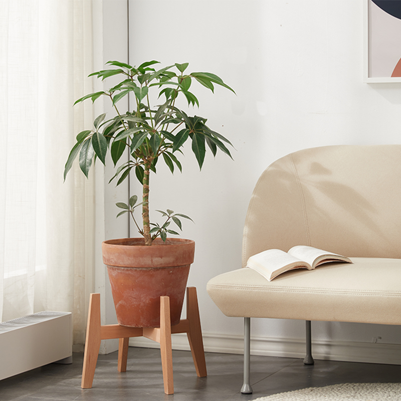 简约落地地面花架客厅阳台装饰花盆架北欧室内花卉置物架花托架