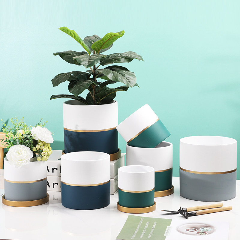 2022新款网红虎皮蝴蝶兰花盆北欧大理石纹简约轻奢多肉文竹盆栽盆,鲜花速递/花卉仿真/绿植园艺,花盆,淘宝优惠券,粉丝福利购,淘宝优惠卷