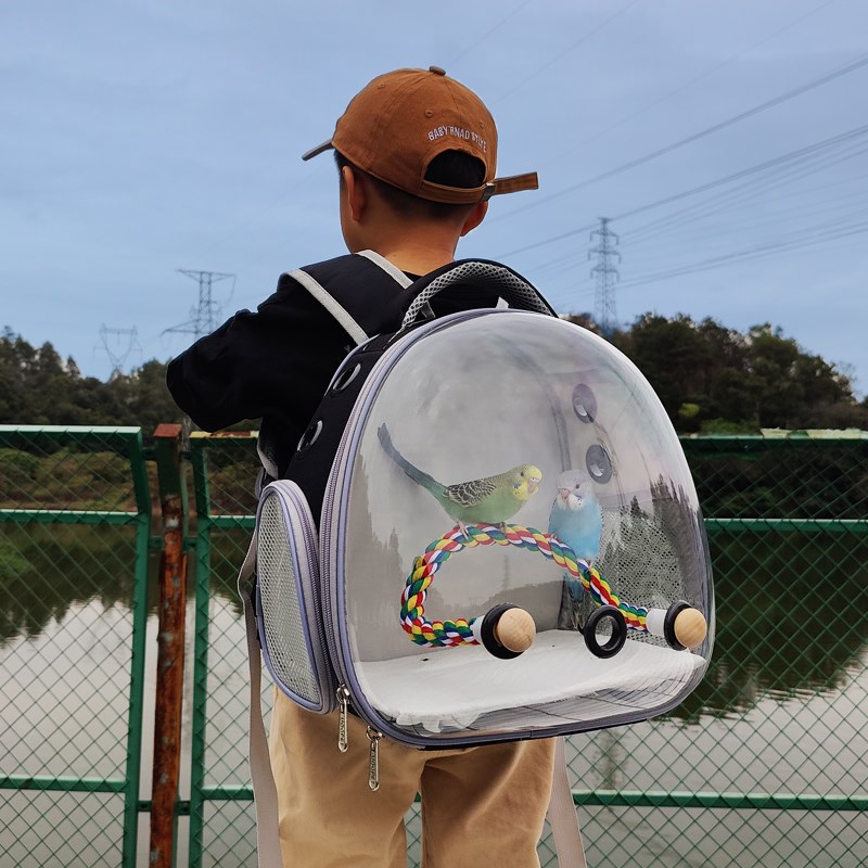 鹦鹉外出小背包兔子装仓鼠宠物透气牡丹虎皮玄凤外带便携包鸟笼