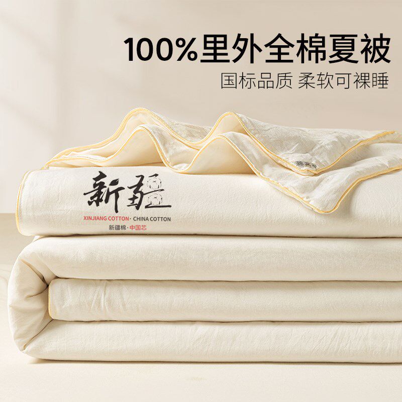 全棉纯棉花夏凉被被空调被单双人被子被芯夏季薄款可机洗四季通用