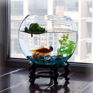 客廳圓球樹養(yǎng)植物玻璃花瓶透明綠蘿水培花盆特大號(hào)加厚魚缸器皿