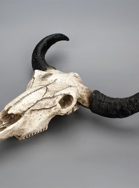 牛角壁挂立体动物骷髅创意家居墙面装饰复古骨头货源立体壁挂装饰