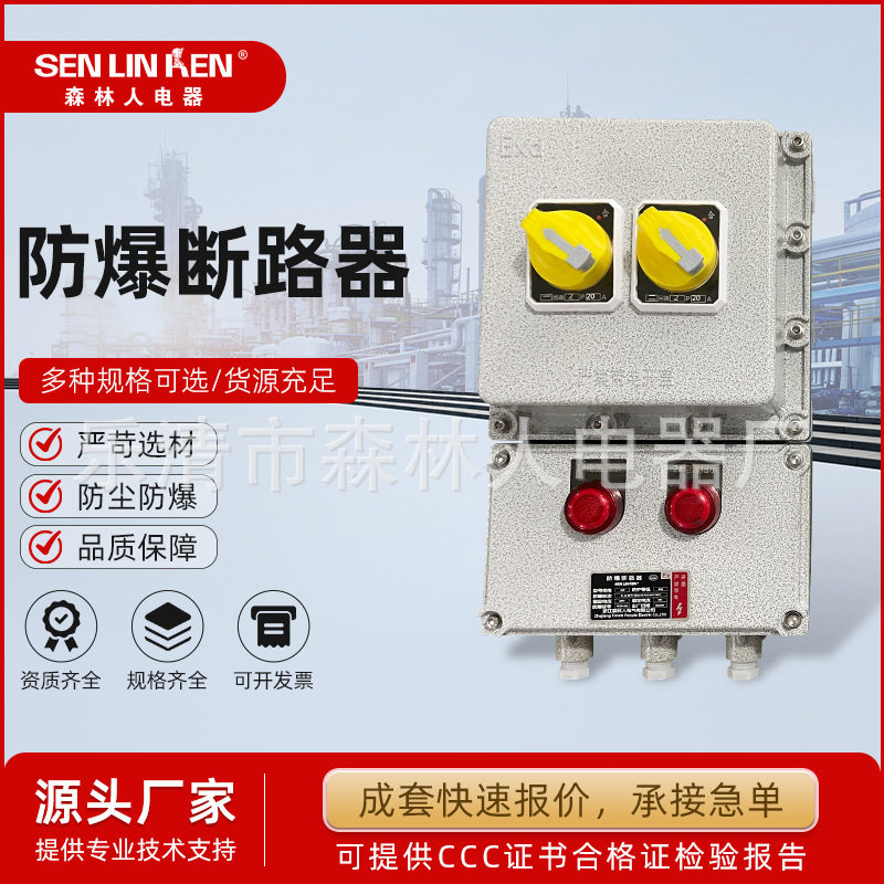 防爆断路器2P3P4P20A32A漏电防爆开关箱220V380V空开控制箱