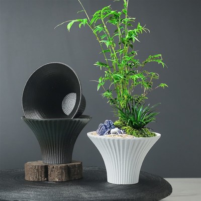 喇叭花瓶苔藓球水培器皿家用蕨类植物专用花盆陶瓷黑色.高脚大花