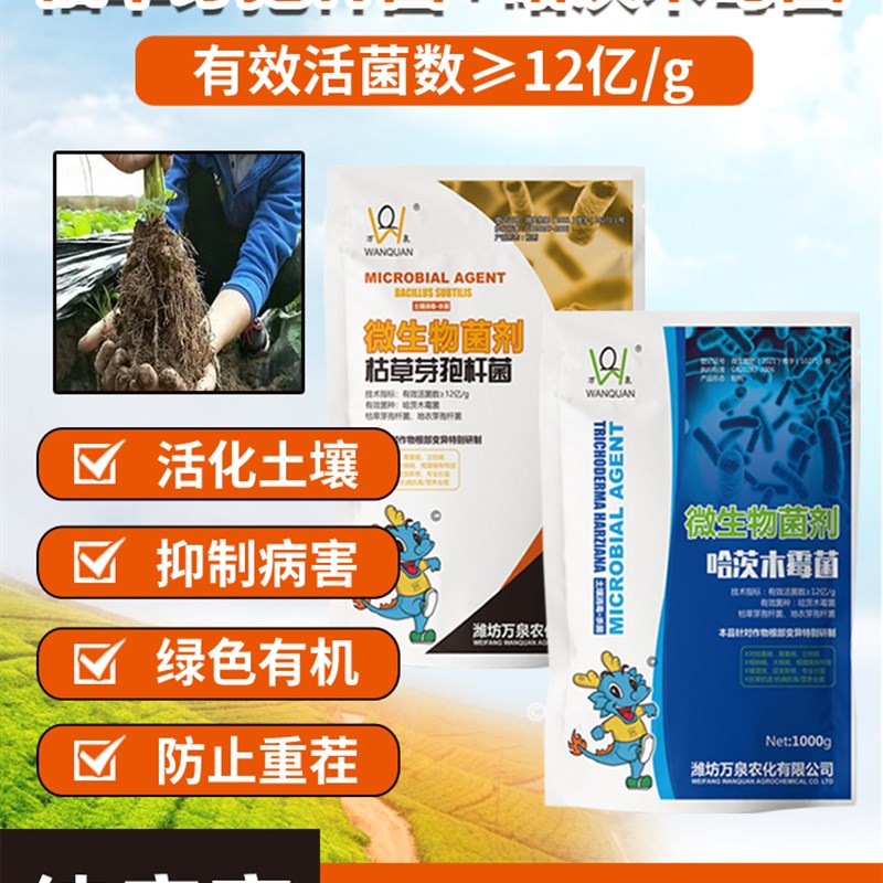 枯草芽孢菌杆菌哈茨木微生物霉菌土壤微生物菌剂有机肥根腐农用