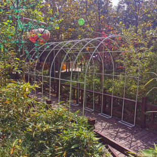 爬藤架拱门花架子铁艺月季 饰 支架铁线莲绿萝植物架户外攀爬庭院装