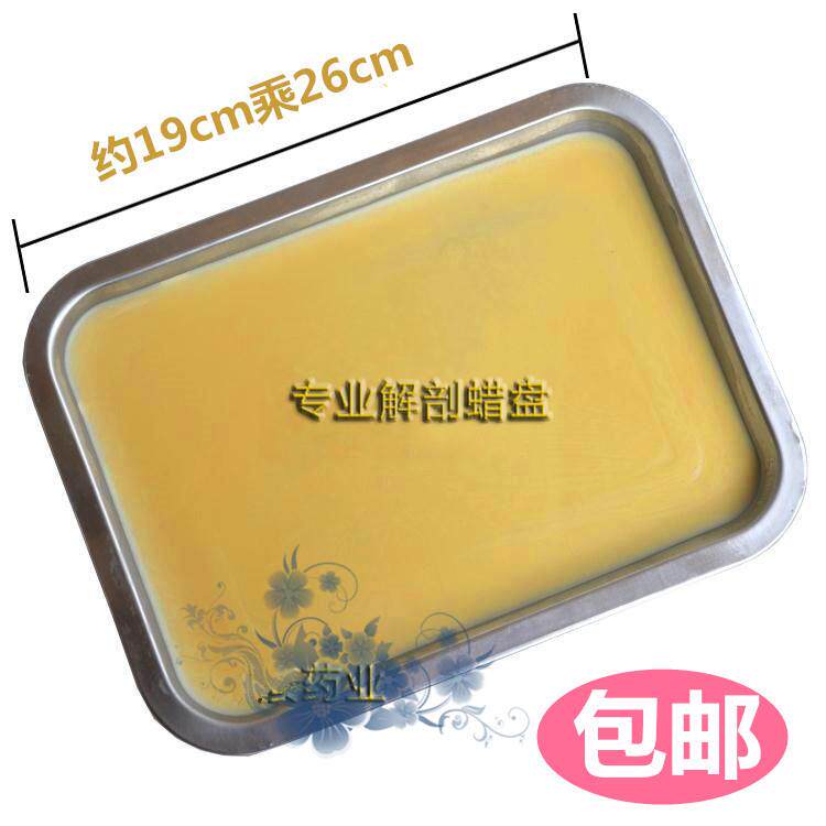 解剖蜡盘 解剖盘 初中高中生物实验器材/教学仪器/生物实验 包邮