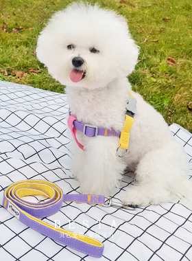 BESTA-网红撞色!宠物狗狗牵引绳小型犬比熊泰迪胸背带外出防挣脱