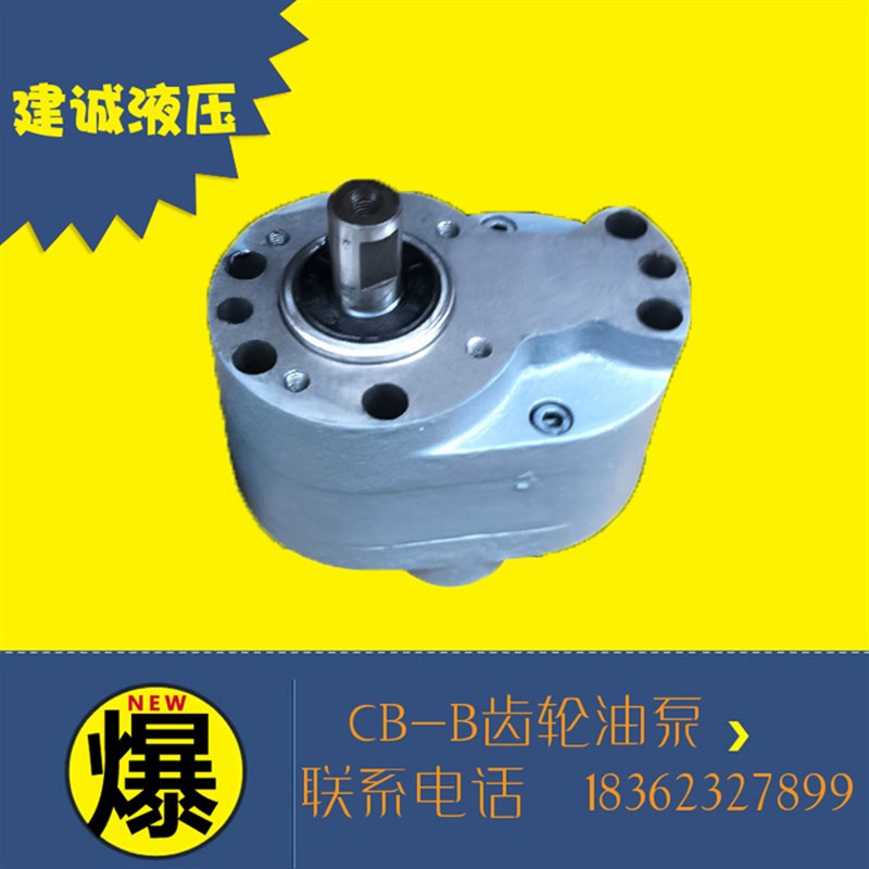 CB-Ba6/B2.5/B4/B10/B16/B25/B32/B50/B63/B80/B125FR钢齿轮油泵