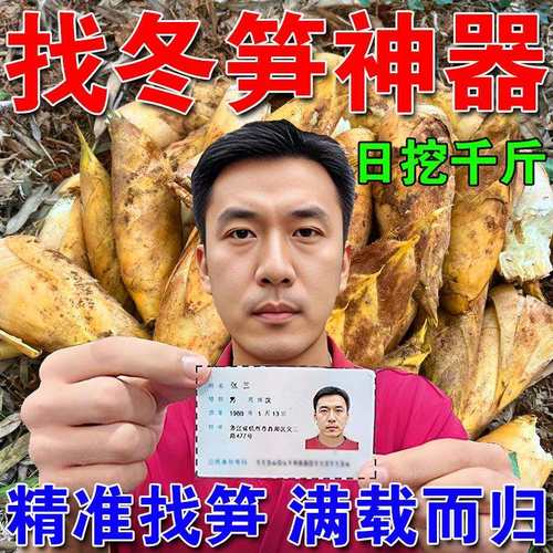 土里找冬笋】冬笋眼镜探测仪冬笋高精度新款挖笋眼镜专用找笋神器