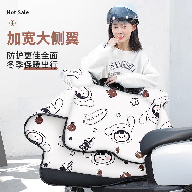 电动车挡风被冬季双面防水电瓶防风罩四季通用防雨2025新款