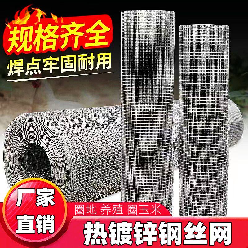 热镀锌铁丝网20年不锈防护家用养殖焊接护栏镀锌阳台隔离栏围栏网