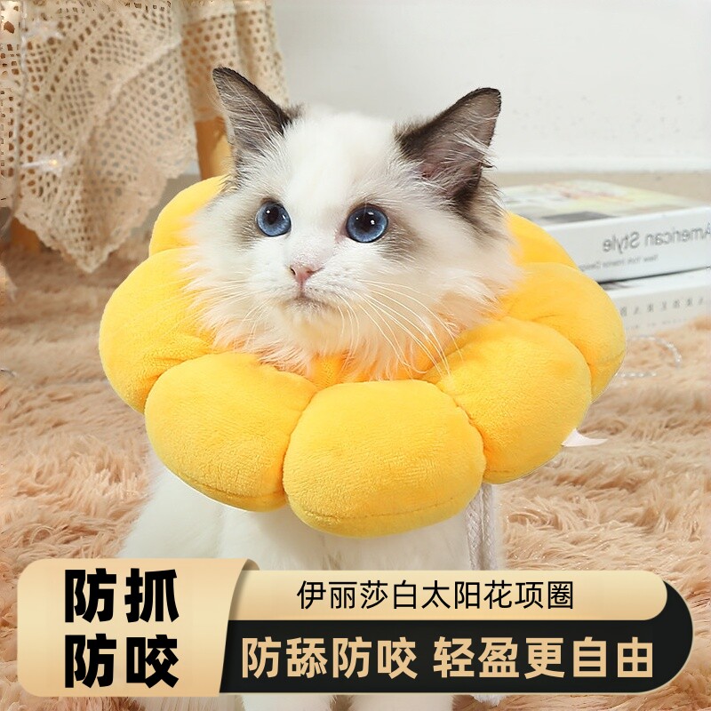 伊丽莎白圈猫宠物项圈防舔英短猫咪脖圈颈圈头套狗宠物用品家用