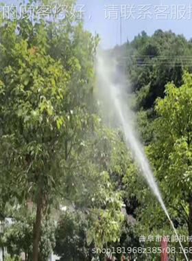 花卉苗圃打药机汽油手推882式10L木6打药机  柴油园林树喷药机