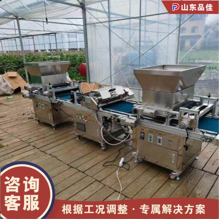 花菜卉蔬种子秧机全自动流水线育菜籽穴盘点播机农育用VHD苗播种