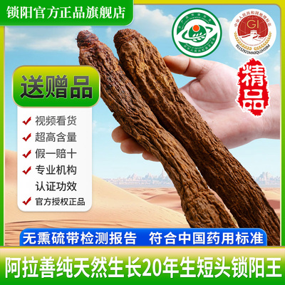 阿拉善锁阳野生特级中药材旗舰店