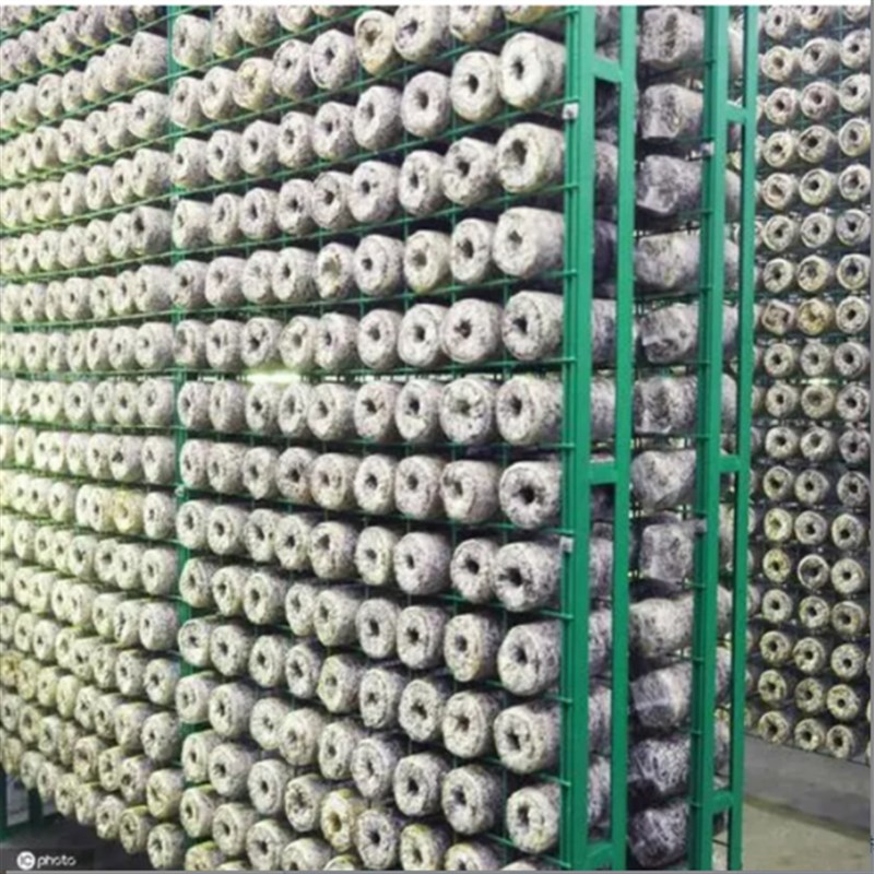 食用菌网格架大棚养殖蘑菇架平菇出菇网格架秀珍菇养殖架菇房架