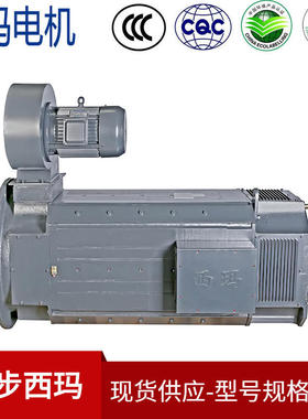 冷却方式ICW37A86 ZKSL-450-32 475KW SIMO西玛直流电机 他激他励