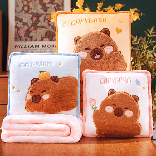 卡皮巴拉沙发抱枕被子两用办公室靠枕午睡枕头毯子二合一汽车秋冬