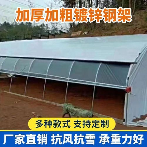 温室大棚骨架镀锌钢管养殖棚种植棚加厚加粗防老化结实坚固大棚架