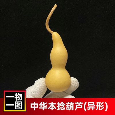 [一物一图]中华本捻异形小葫芦文玩手捻手把件奇形烙画练手摆件