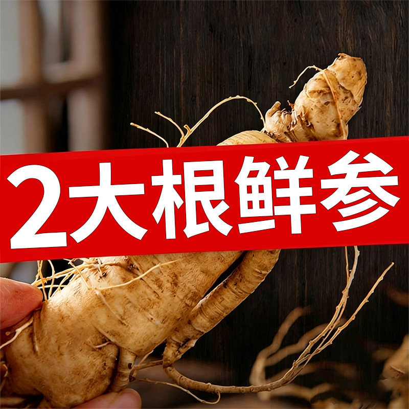 新鲜人参特大号鲜园参泡酒专用保鲜长白山雪岭精品参东北吉林参王
