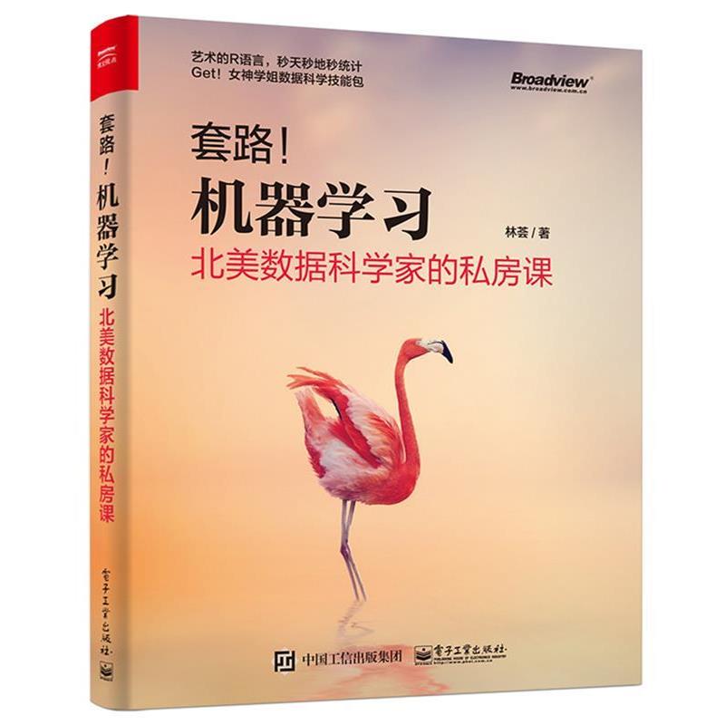 【正版书】 套路!机器学习:北美数据科学家的私房课 林荟 电子工业出版社