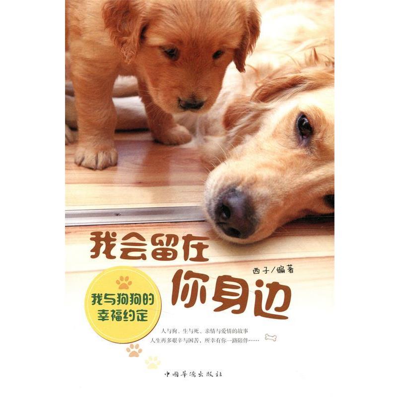 【正版书】 我会留在你身边 西子 中国华侨出版社