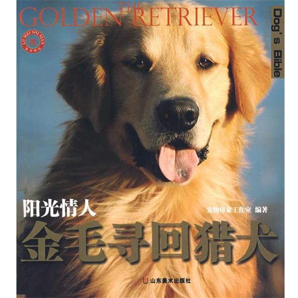 【正版书】 世界名犬驯养宝典-阳光情人 金毛寻回猎犬 宠物印象工作室 编著 山东美术出版社