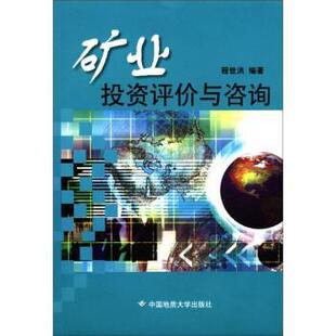 【正版书】 矿业投资评价与咨询 程世洪 著 中国地质大学出版社