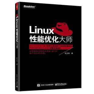 【正版书】 Linux性能优化大师 赵永刚　著 电子工业出版社