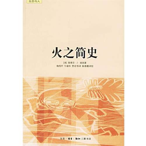 【正版书】 火之简史 （美）派因 著,梅雪芹 等译 生活·读书·新知三联书店