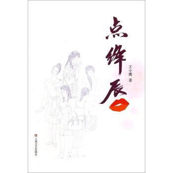 【正版书】 点绛唇 王小鹰 上海文艺出版社