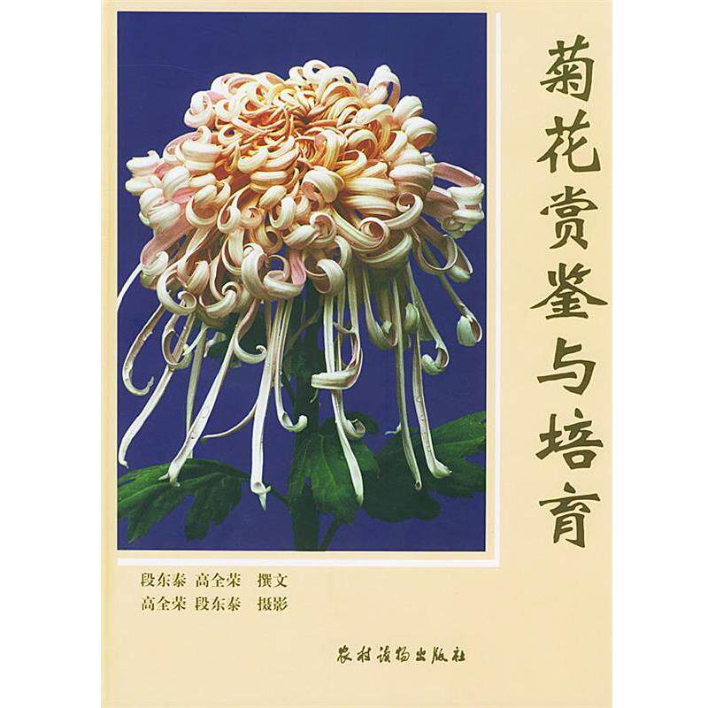 【正版书】 菊花赏鉴与培育 段东泰,高全荣 撰文 农村读物出版社