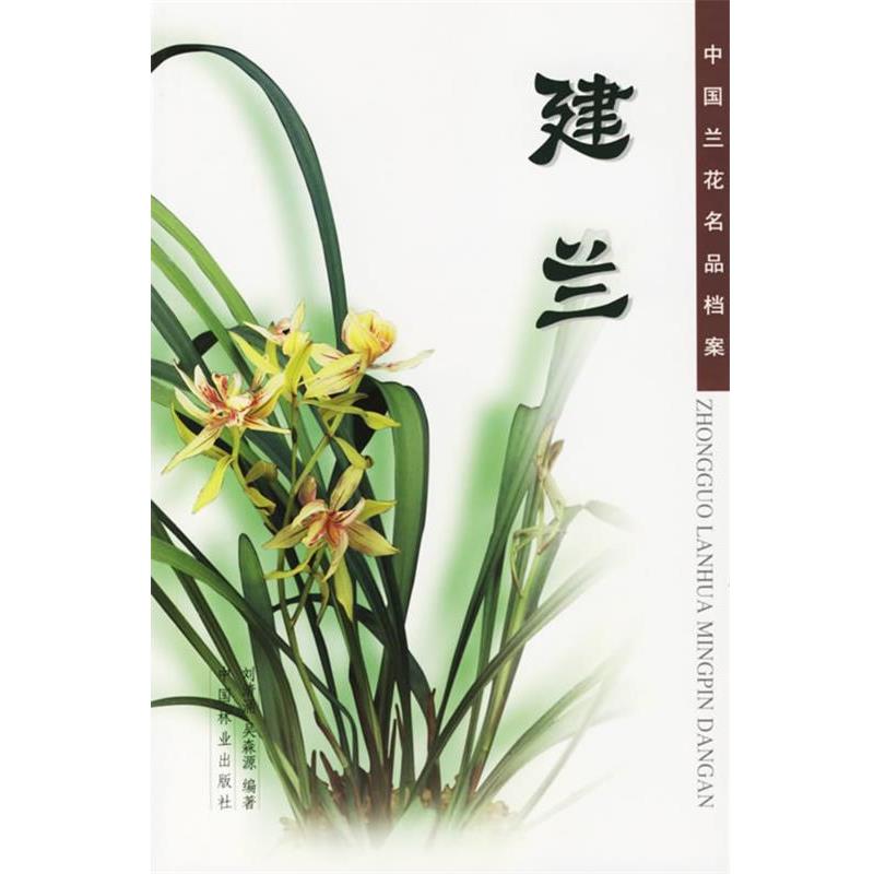 【正版书】 建兰 中国兰花名品档案 刘清涌,吴森源 编著 中国林业出版社