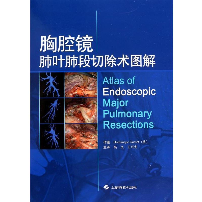 【正版书】 胸腔镜肺叶肺段切除术图解 (法)戈索 上海科学技术出版社