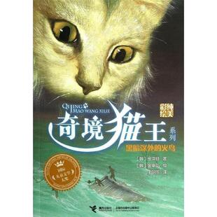 【正版书】 奇境猫王:黑暗深处的火鸟 (韩) 金津经著 接力出版社