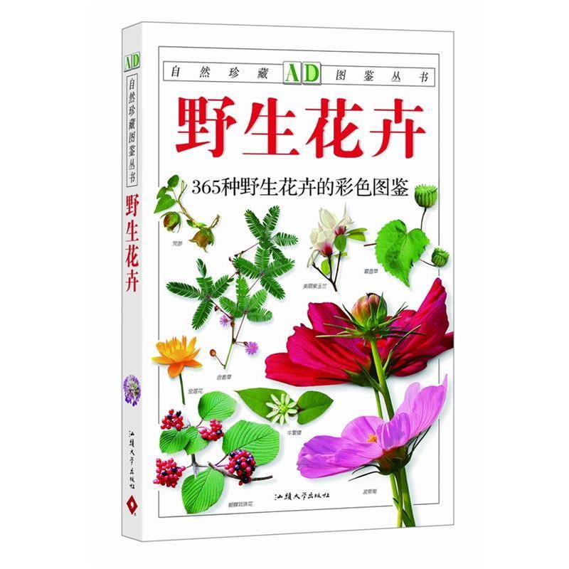 【正版书】 野生花卉:365种野生花卉的彩色图鉴—自然珍藏图鉴丛书 江珊 汕头大学出版社