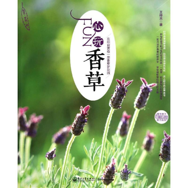 【正版书】 FUN心玩香草 王梓天 著 电子工业出版社