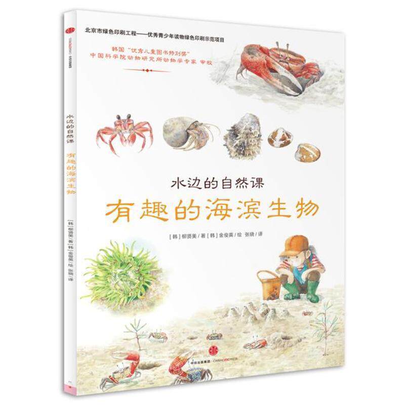 【正版书】 水边的自然课：有趣的海滨生物 [韩]柳贤美著 [韩]金俊英绘 中信出版社