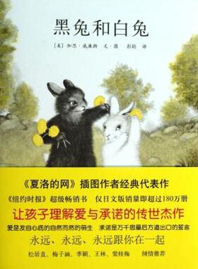 【正版书】 黑兔和白兔 (美) 加思·威廉斯文·图 南海出版公司
