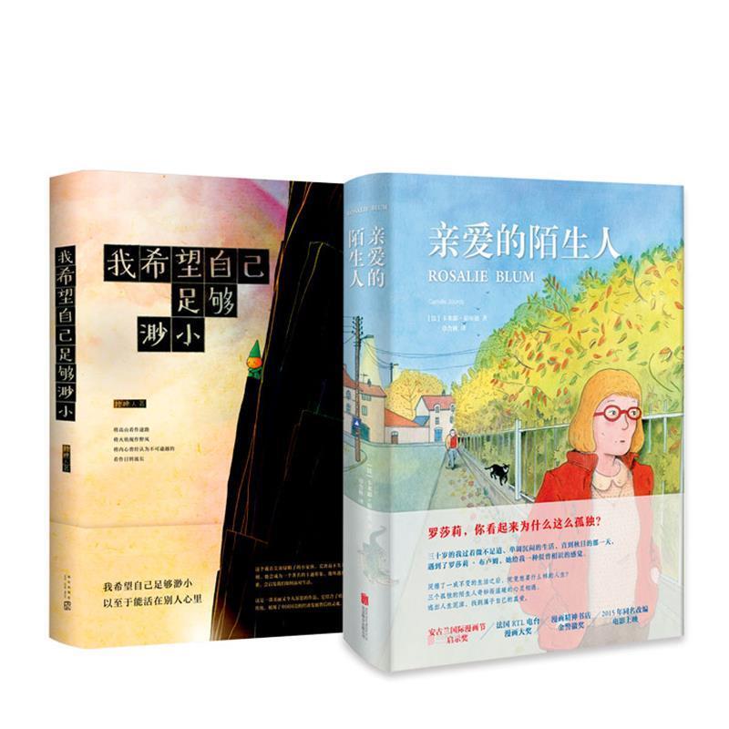 【正版书】 亲爱的陌生人 卡米耶·茹尔迪著,章含秋 译 北京联合出版公司