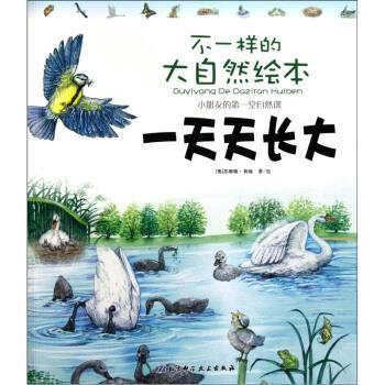 【正版书】 不一样的大自然绘本：天长大 [奥]苏珊娜·莉娅 北京科学技术出版社