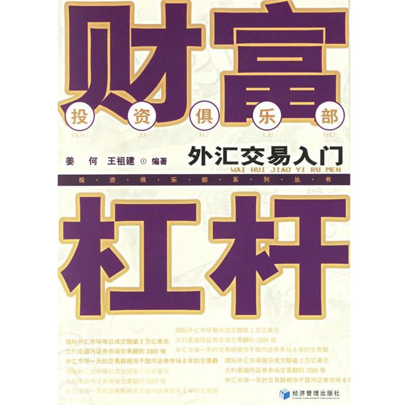 【正版书】 财富杠杆：外汇交易入门 姜何,王祖建 编著 经济管理出版社