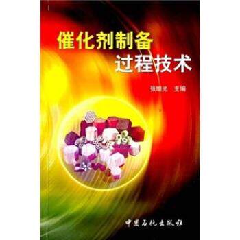 【正版书】 催化剂制备过程技术 张继光 著 中国石化出版社
