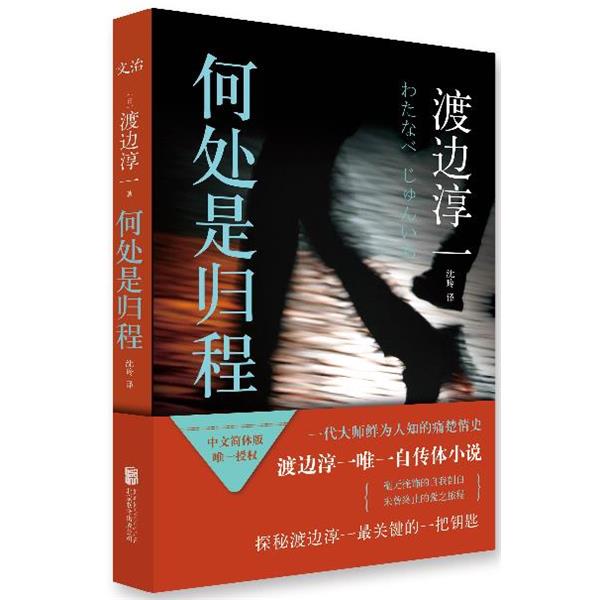 【正版书】 何处是归程 (日)渡边淳一 北京联合出版公司出版社 - 实物图