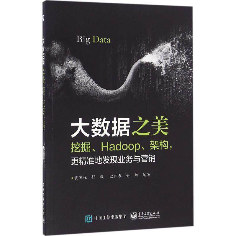 【正版书】 大数据之美:挖掘、Hadoop、架构,更精准地发现业务与营销 黄宏程 等编著 电子工业出版社
