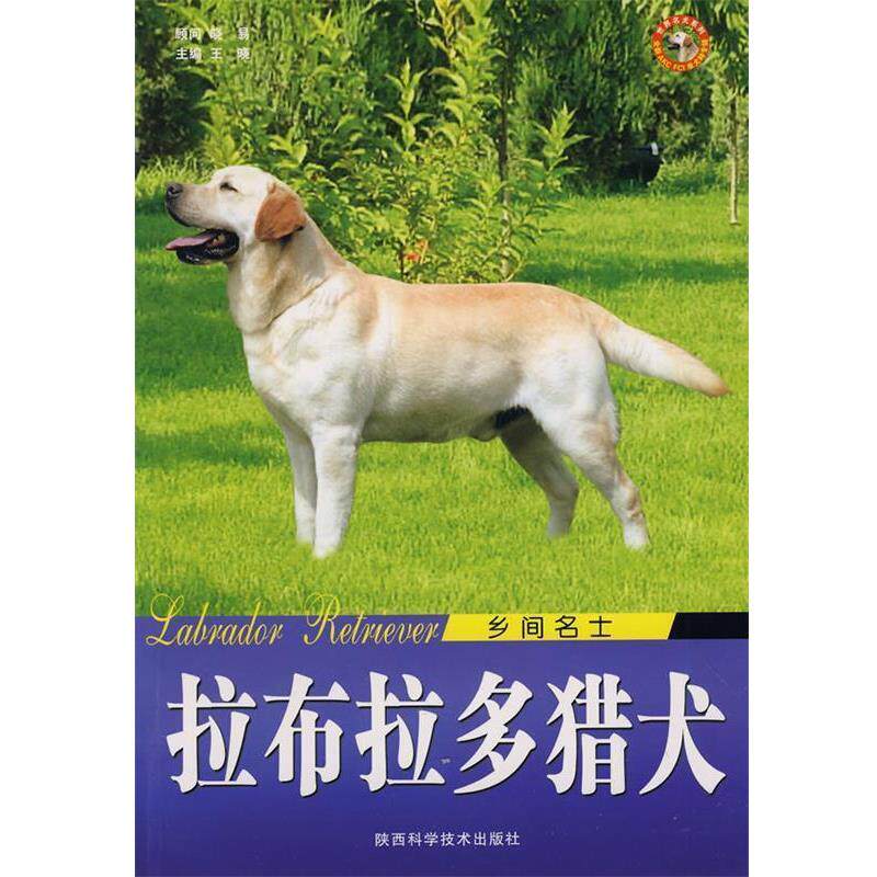 【正版书】 拉布拉多猎犬乡间名士 王晓 主编 陕西科学技术出版社