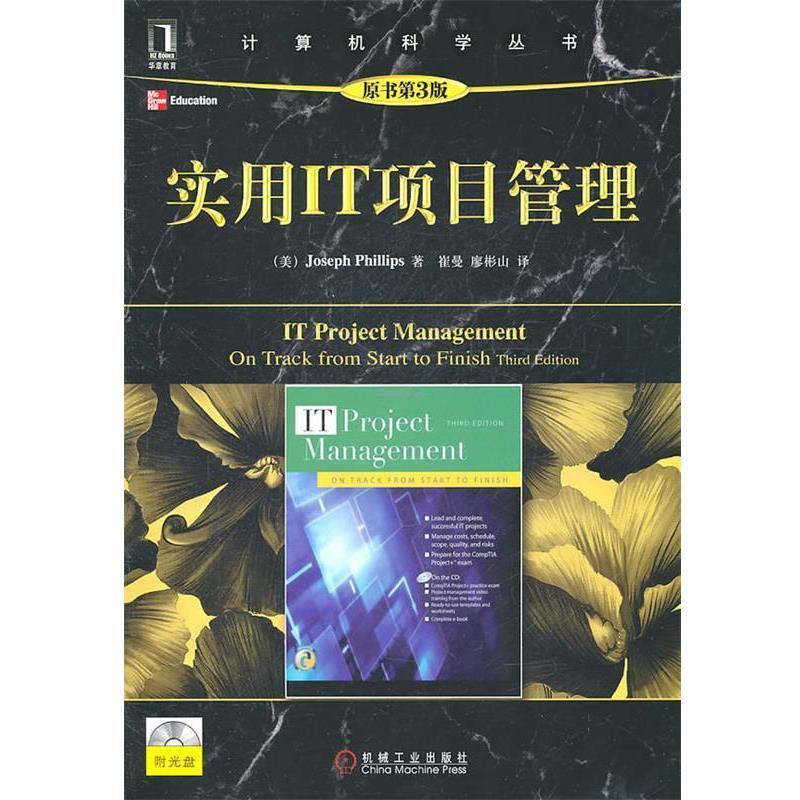【正版书】 实用IT项目管理 (美)斯　著,崔曼,廖彬山　译 机械工业出版社
